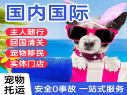 天府航空快运国际宠物托运 【国